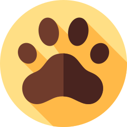 dog paw image